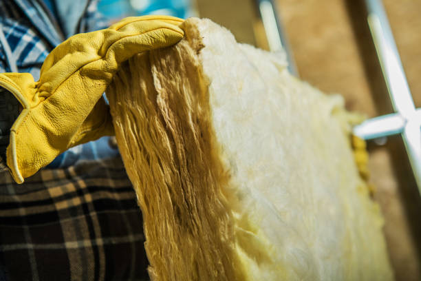Best Insulation Contractors for Homes  in Bawcomville, LA