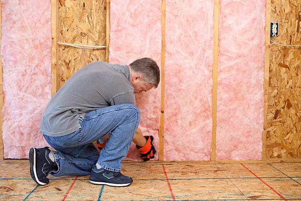 Best Insulation Replacement Services  in Bawcomville, LA