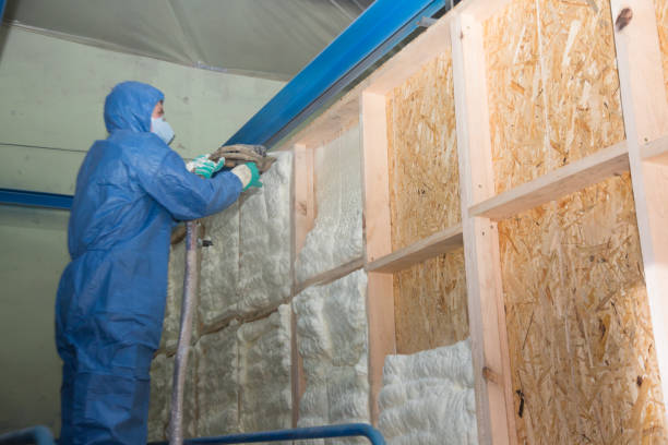 Best Spray Foam Insulation  in Bawcomville, LA