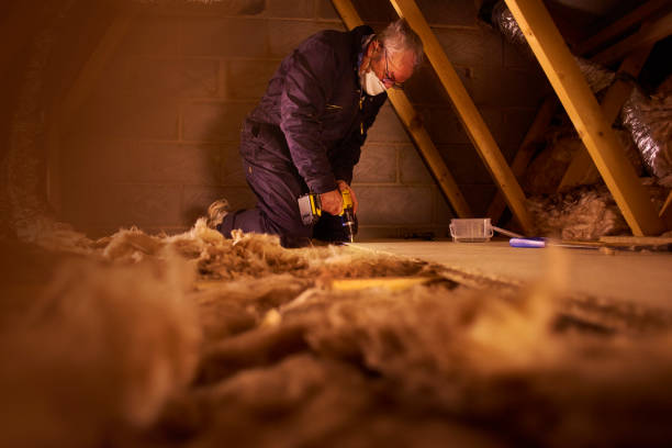 Best Crawl Space Insulation  in Bawcomville, LA